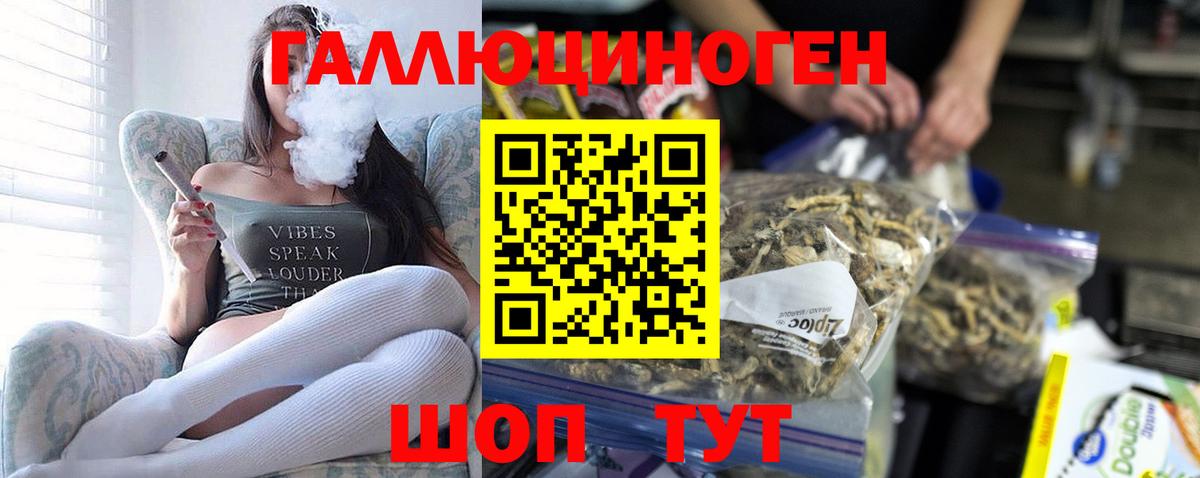 Псилоцибиновые грибы Magic Shrooms Чайковский